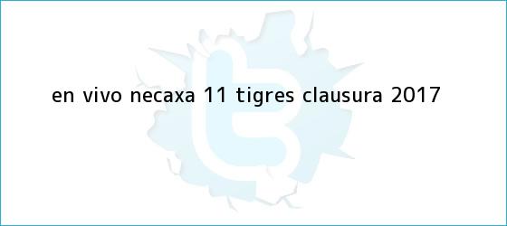 trinos de EN VIVO | <b>Necaxa</b> 1-1 <b>Tigres</b> | Clausura 2017