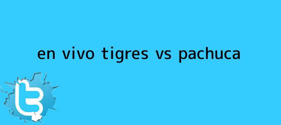 trinos de ¡En Vivo! <b>Tigres vs Pachuca</b>