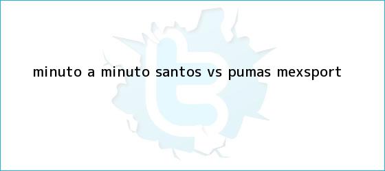 ver tweets sobre minuto a minuto santos vs pumas mexsport trinos de MINUTO A MINUTO: <b>Santos vs. Pumas</b> (Mexsport)
