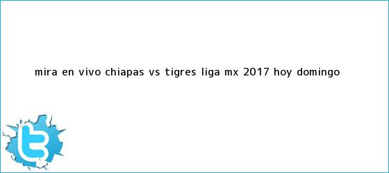 trinos de Mira en vivo <b>Chiapas vs Tigres</b>: Liga MX 2017, hoy domingo