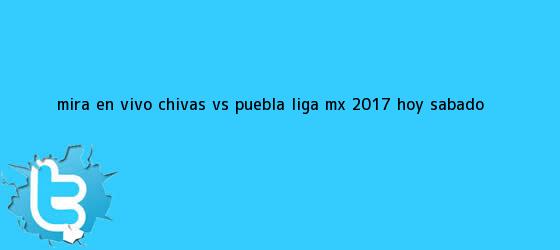 trinos de Mira en vivo <b>Chivas vs Puebla</b>: Liga MX 2017, hoy sábado