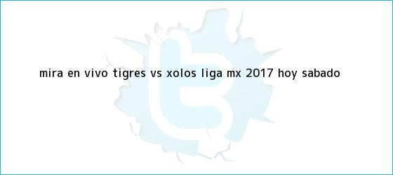 trinos de Mira en vivo <b>Tigres vs</b> Xolos: Liga MX 2017, hoy sábado