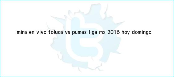 trinos de Mira en vivo <b>Toluca vs Pumas</b>: Liga MX 2016, hoy domingo