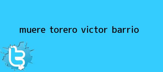 trinos de Muere torero <b>Víctor Barrio</b>