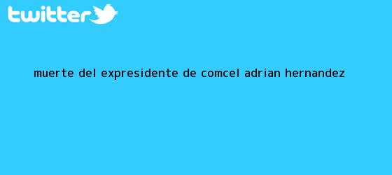 trinos de Muerte del expresidente de Comcel <b>Adrian Hernandez</b>