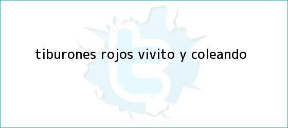 trinos de <b>Tiburones Rojos</b>, vivito y coleando