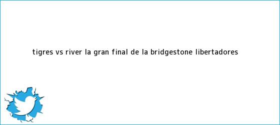 trinos de <b>Tigres vs</b> River, la Gran Final de la Bridgestone Libertadores