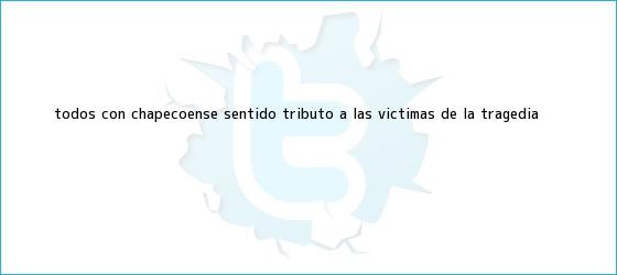trinos de Todos con <b>Chapecoense</b>: sentido tributo a las víctimas de la tragedia