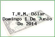 T.R.M. Dólar Domingo 1 De Junio De 2014