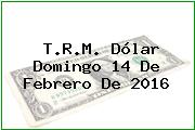 T.R.M. Dólar Domingo 14 De Febrero De 2016