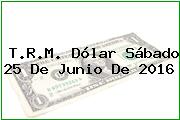 T.R.M. Dólar Sábado 25 De Junio De 2016