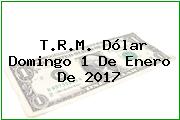 T.R.M. Dólar Domingo 1 De Enero De 2017