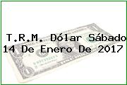 T.R.M. Dólar Sábado 14 De Enero De 2017