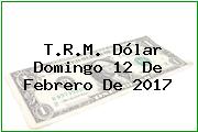 T.R.M. Dólar Domingo 12 De Febrero De 2017