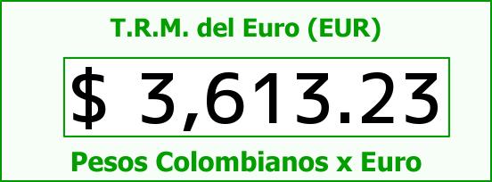 T.R.M. del Euro para hoy Martes 24 de Mayo de 2016